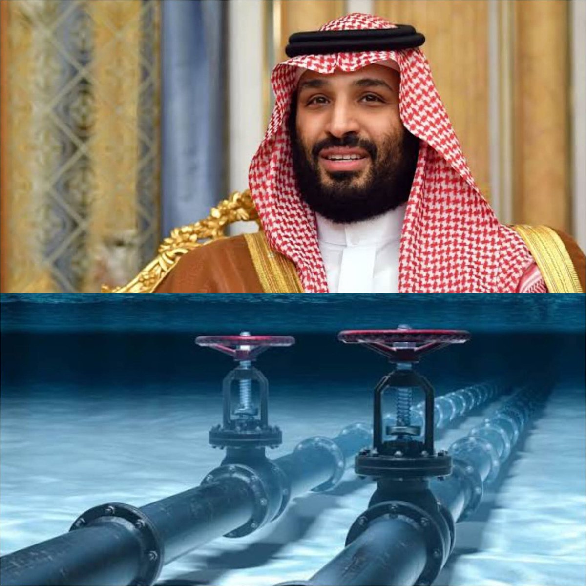 MAGA NEWS tweet media