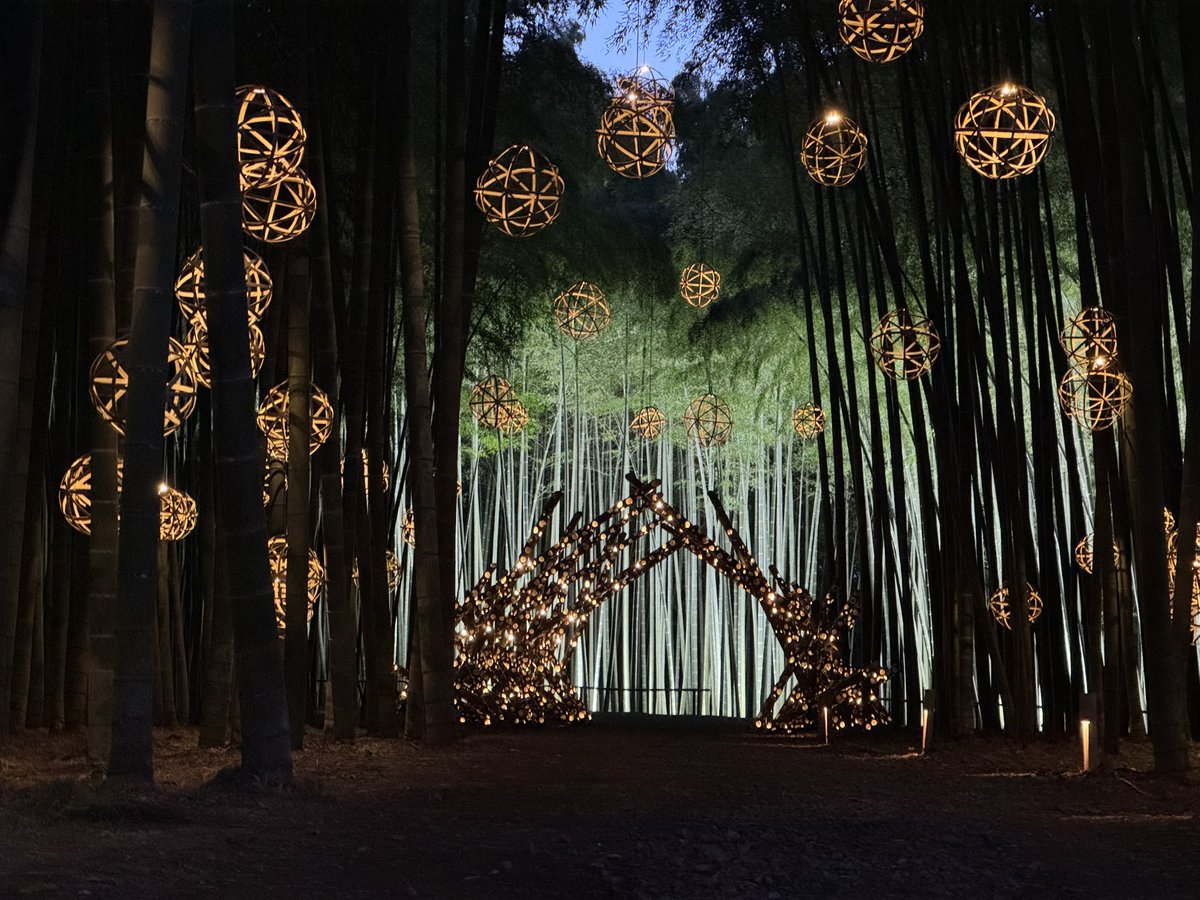 ぶっちー🐶🍵* tweet media