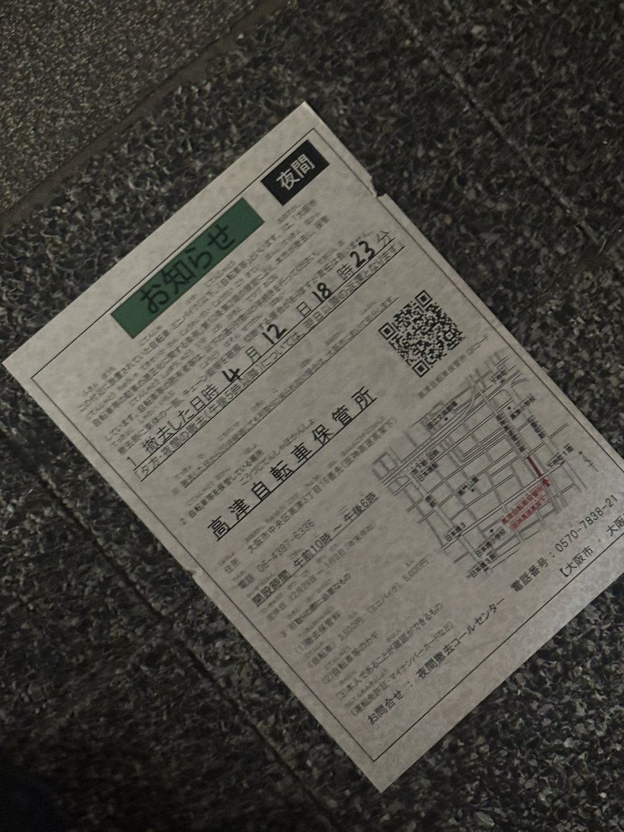 たんぽぽ🪼 tweet media