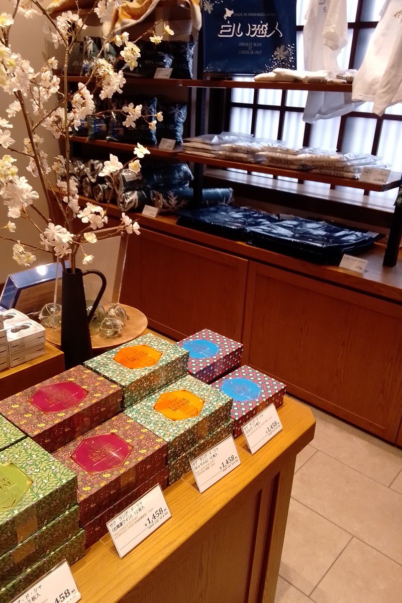 朝比奈想乃(あのん) tweet media