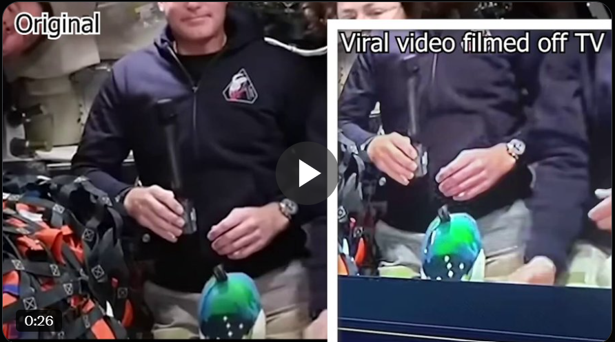 Tom Finnell tweet media