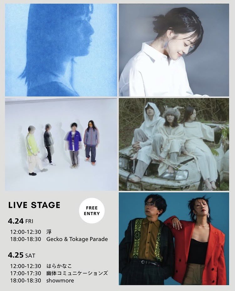 showmore tweet media