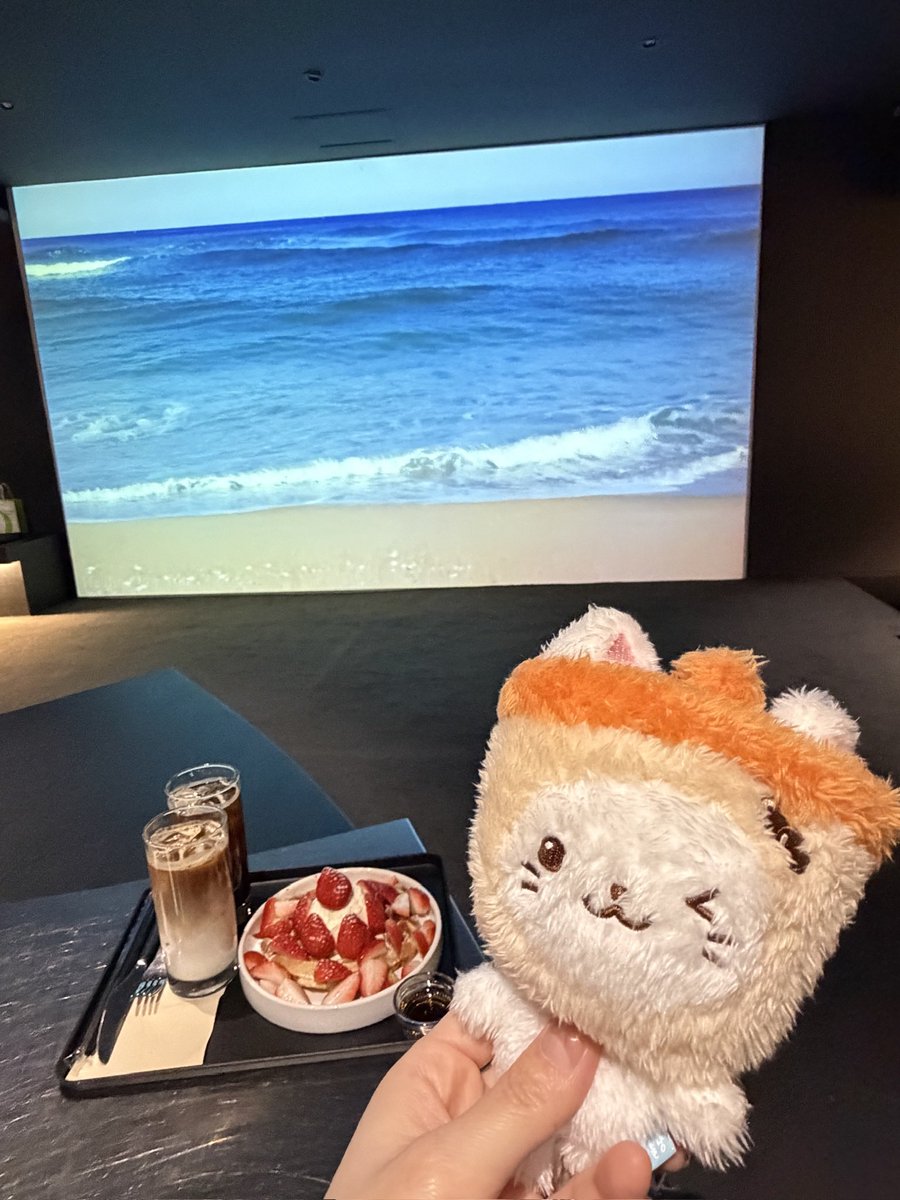 우희주 tweet media