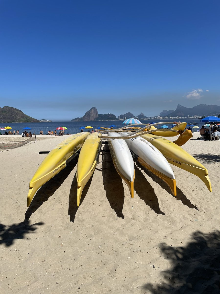 Dilza Bruno tweet media