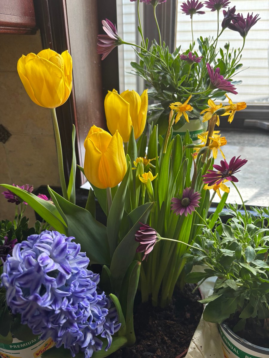 Nuclear MAGA Lisa🇺🇸🔥 tweet media