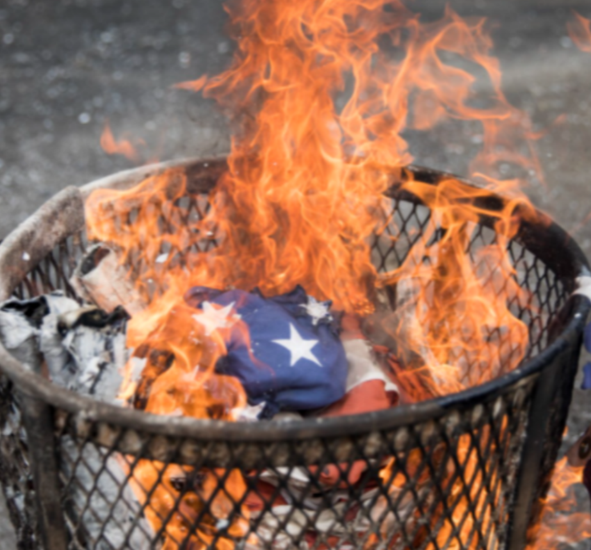 NizNellie3 tweet media