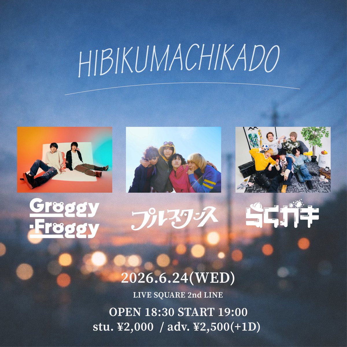 Groggy-Froggy tweet media