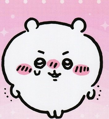 かんてん🐨 tweet media