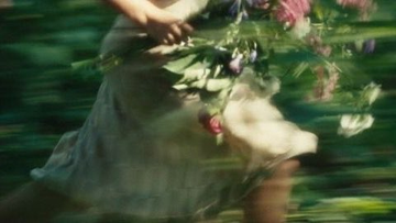 Stephen Gibbons tweet media