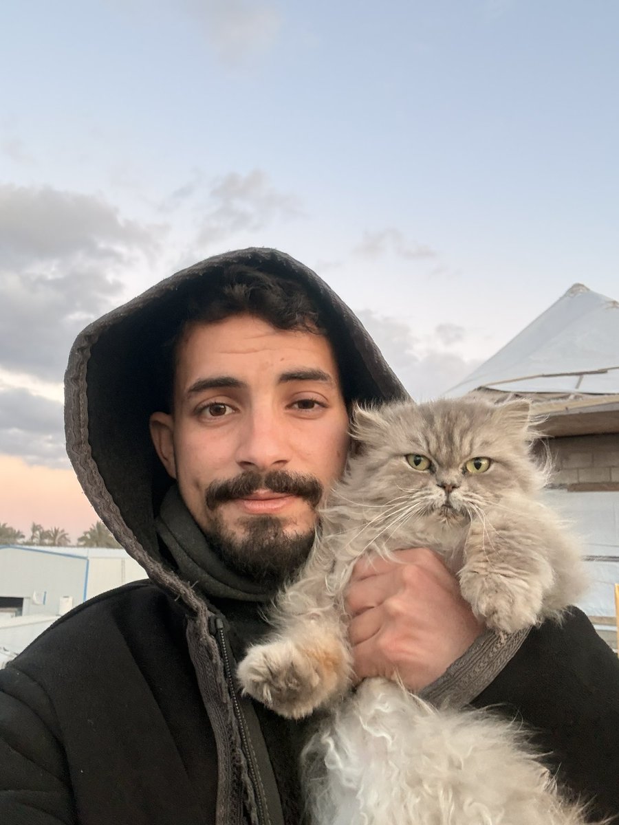 SHARIF 𓂆 tweet media