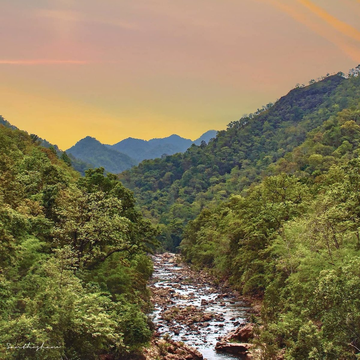 India Aesthetica tweet media