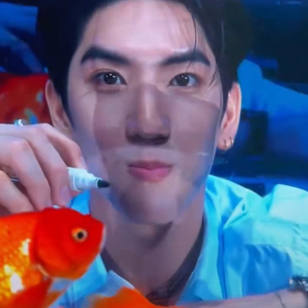 ~ SEAMEOW DAY tweet media