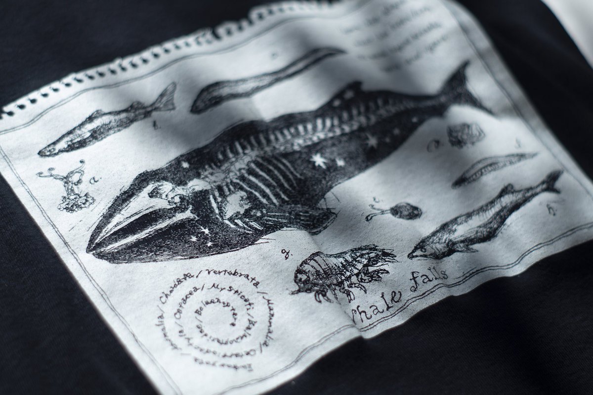 鯨骨生物群集の標本シャツ