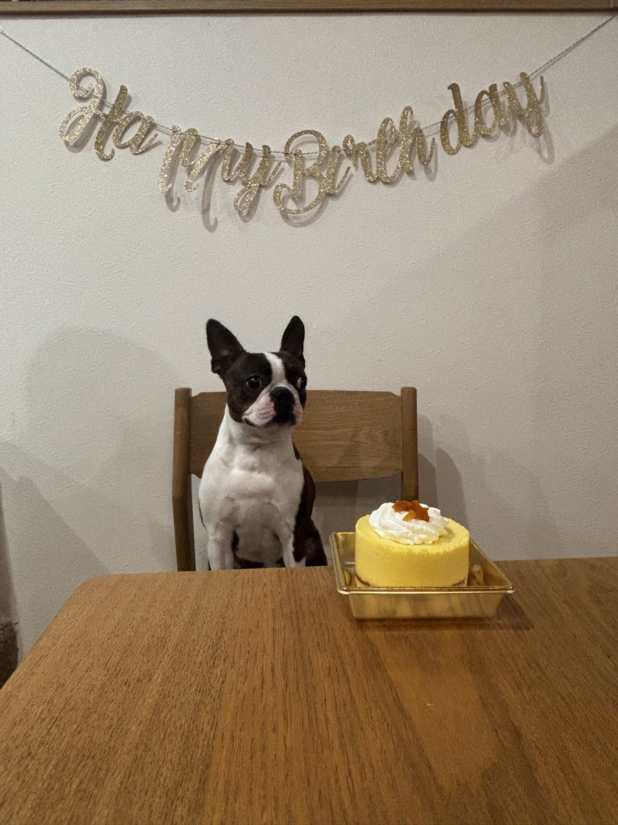 Boston にこ tweet media