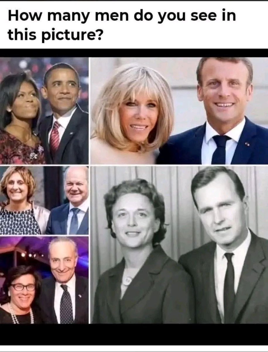 Tina Zimmermann tweet media