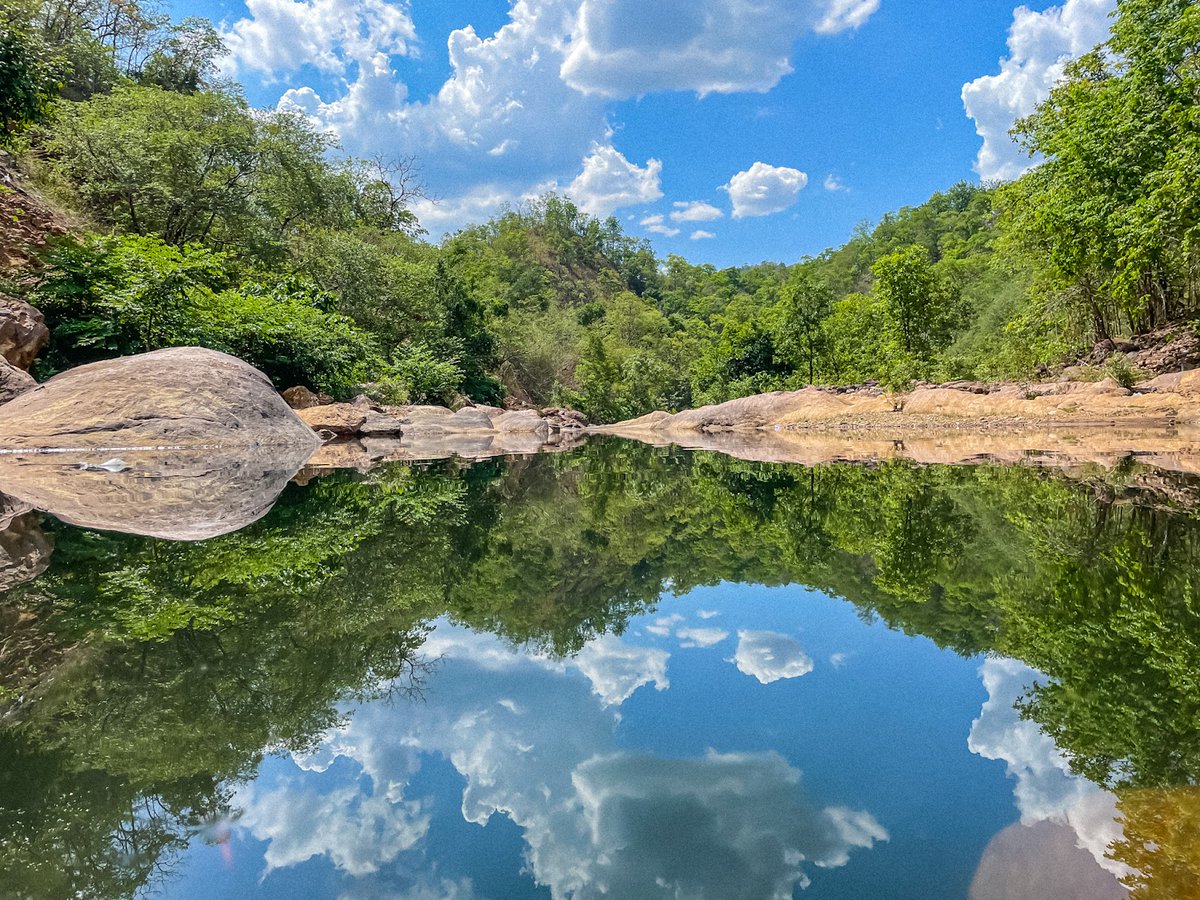 India Aesthetica tweet media