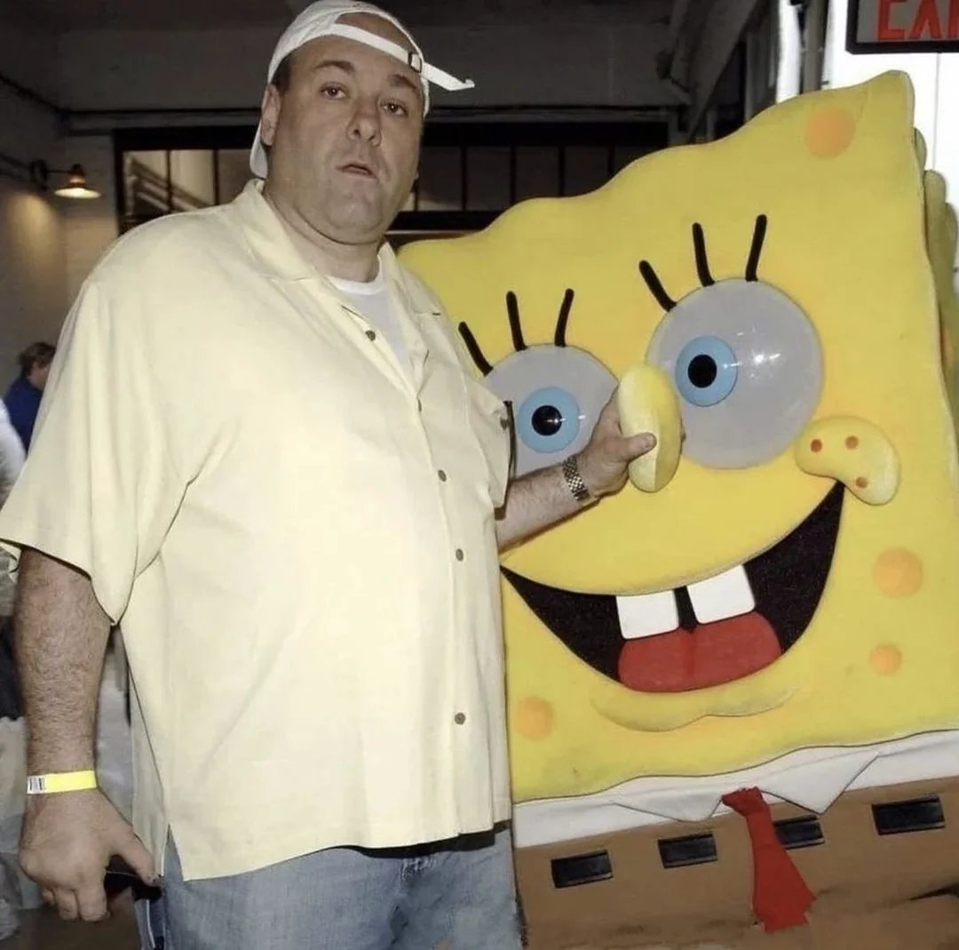 Sponge ! tweet media