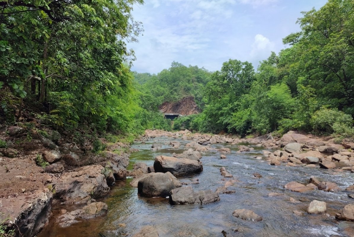 India Aesthetica tweet media