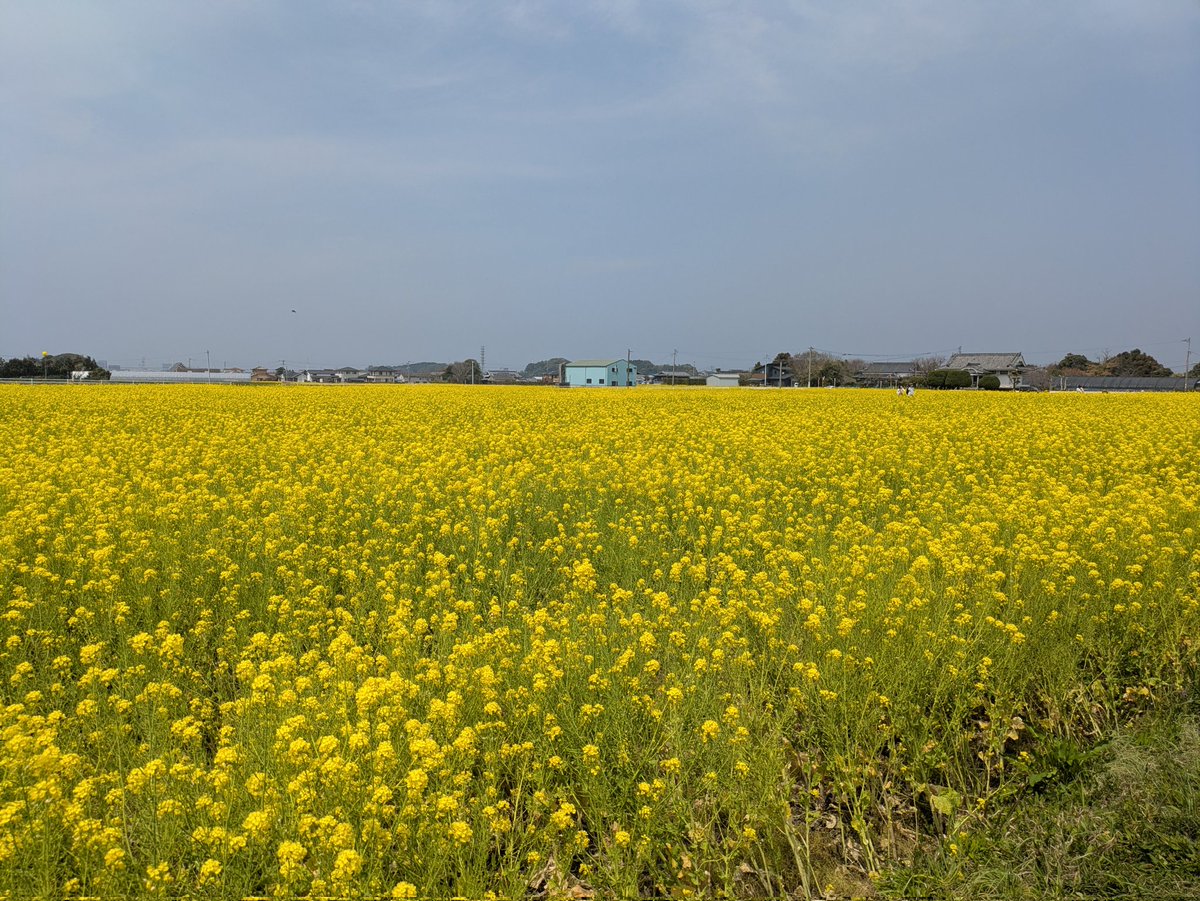 優香@レス8年💔婚外 tweet media