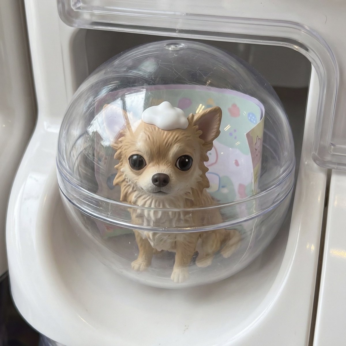 papa_love_dog's tweet image. 苦手なお風呂をがんばるチワワ🛁
全国のガチャガチャで発売中…！？
#SNOW #PR