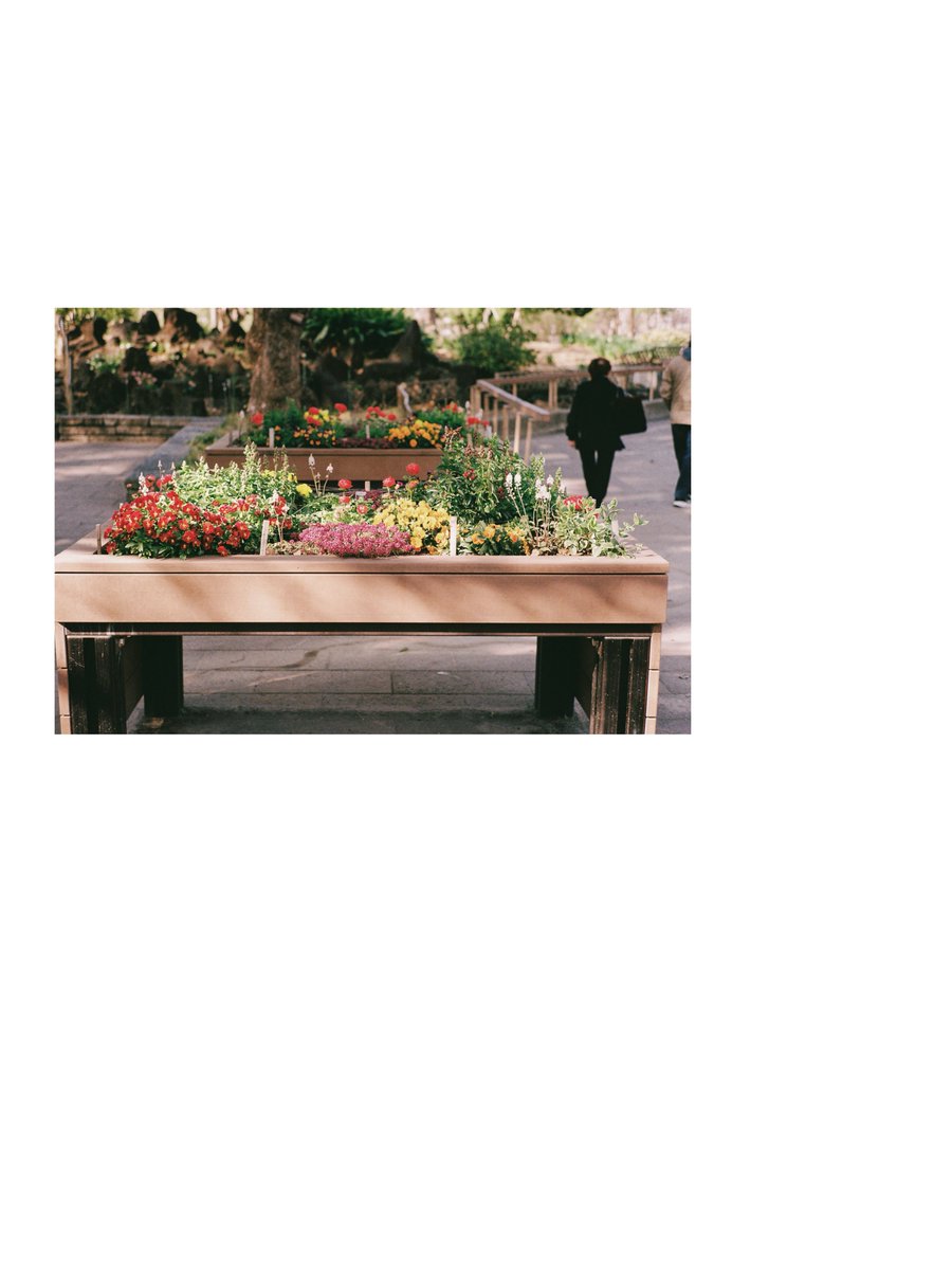 kyooo___777's tweet image. そこにいた時間

#punctumpc