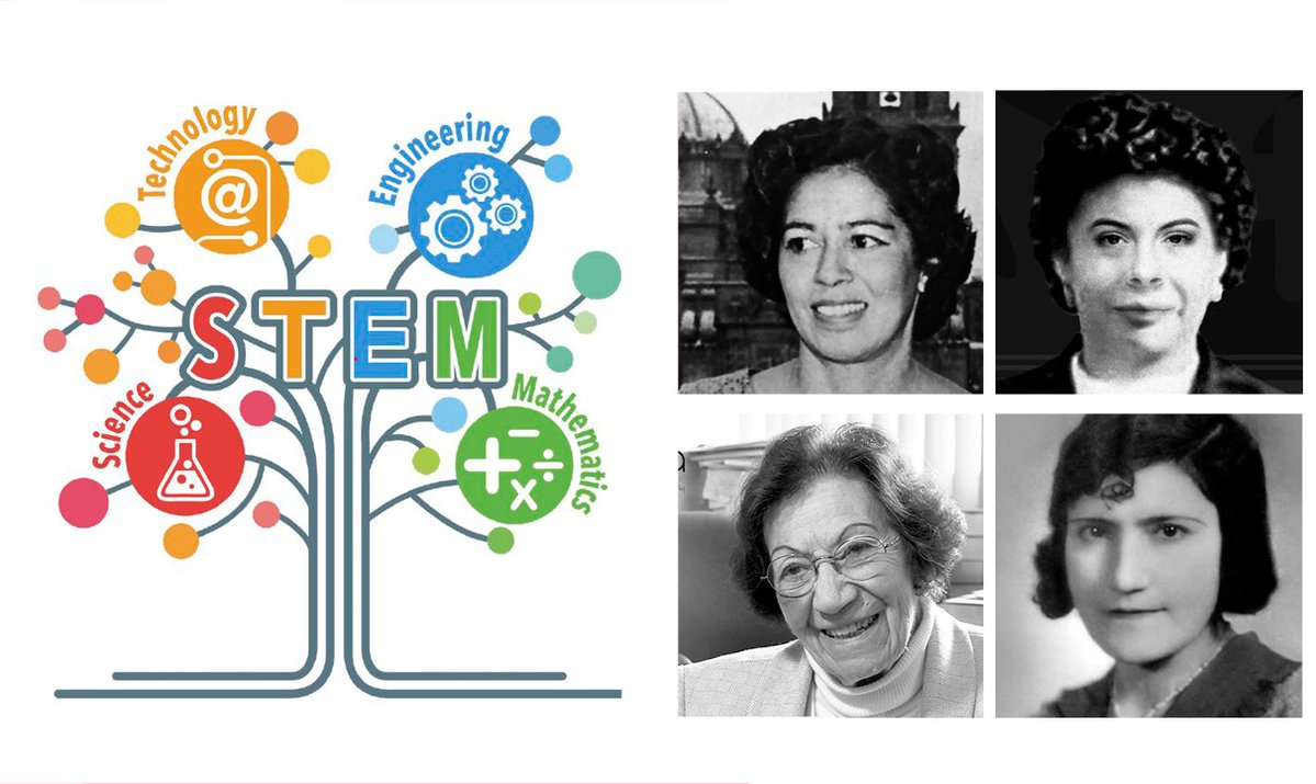 Ángel M. Felicísimo tweet media