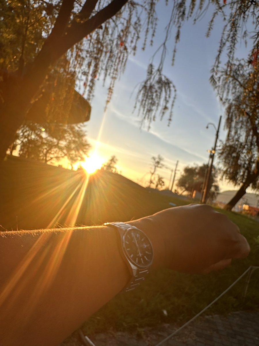 Francisco Araniva tweet media