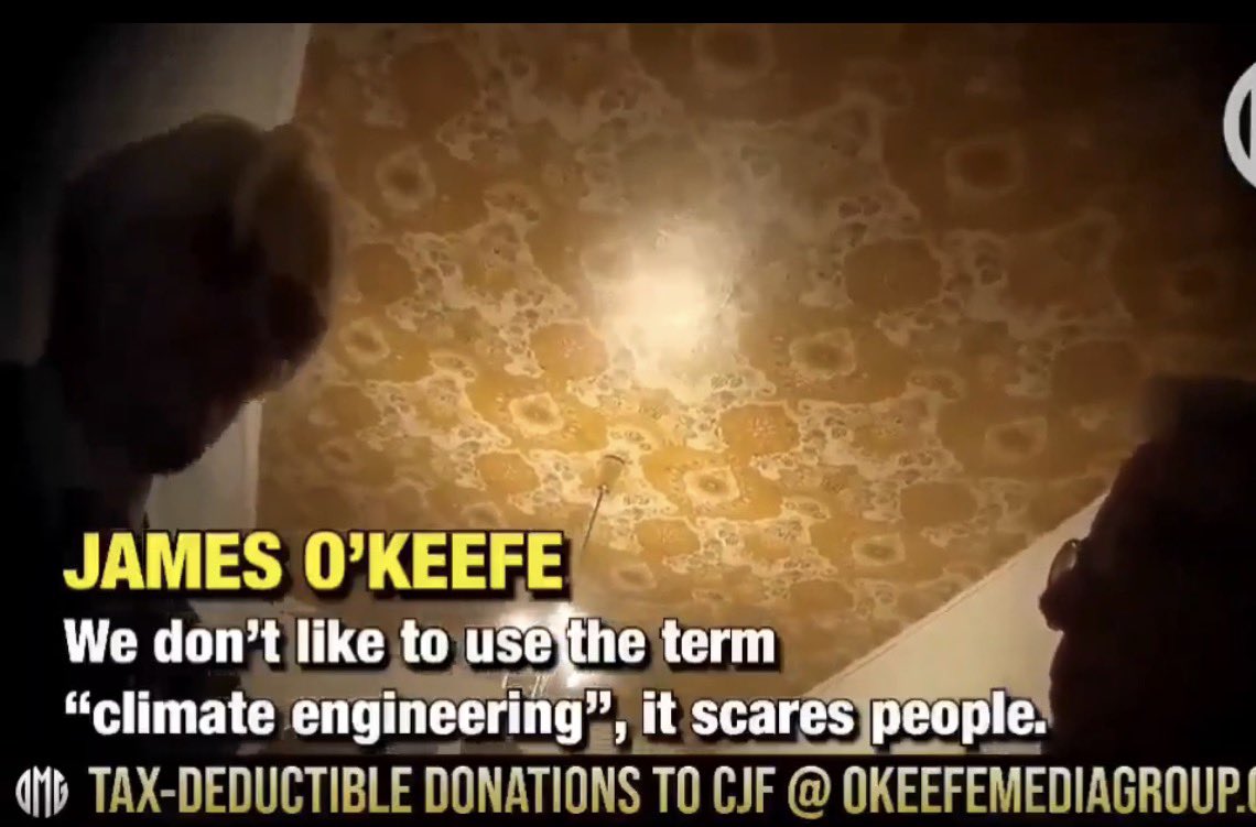 Concerned Citizen tweet media