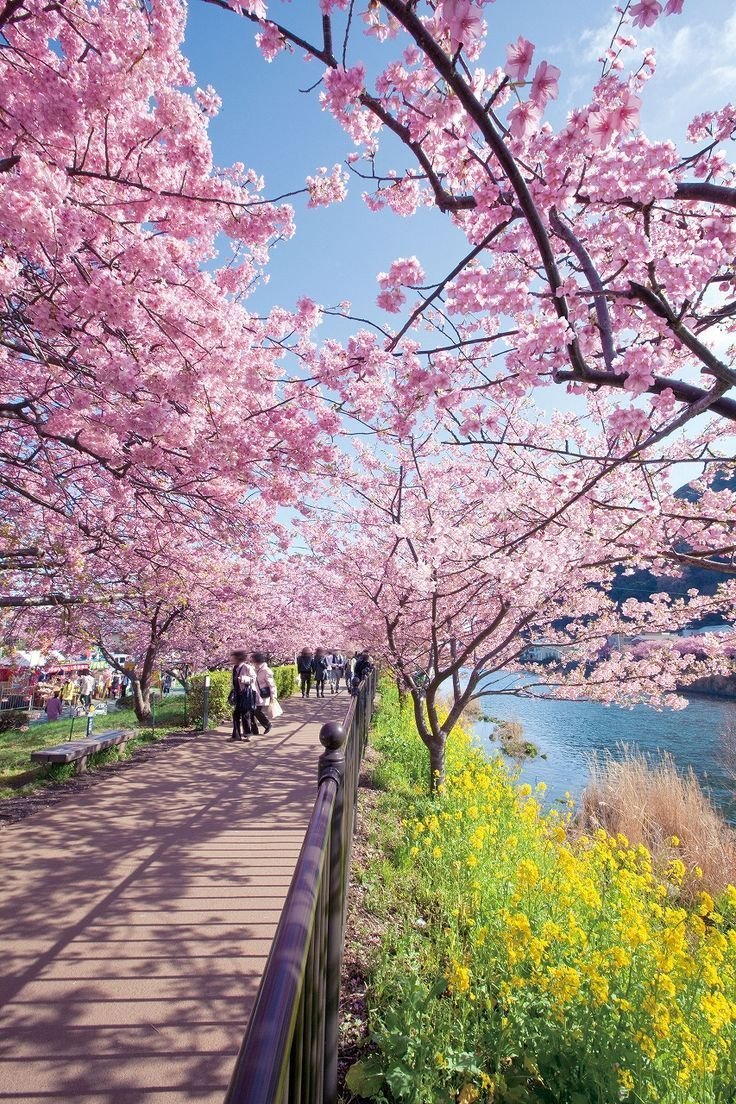 Earthglory tweet media