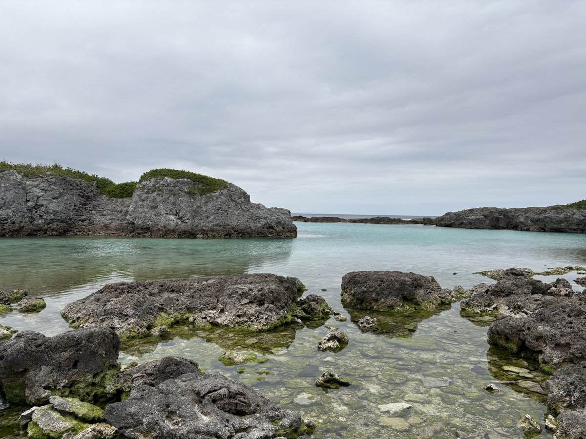 Akatsuki Saito tweet media