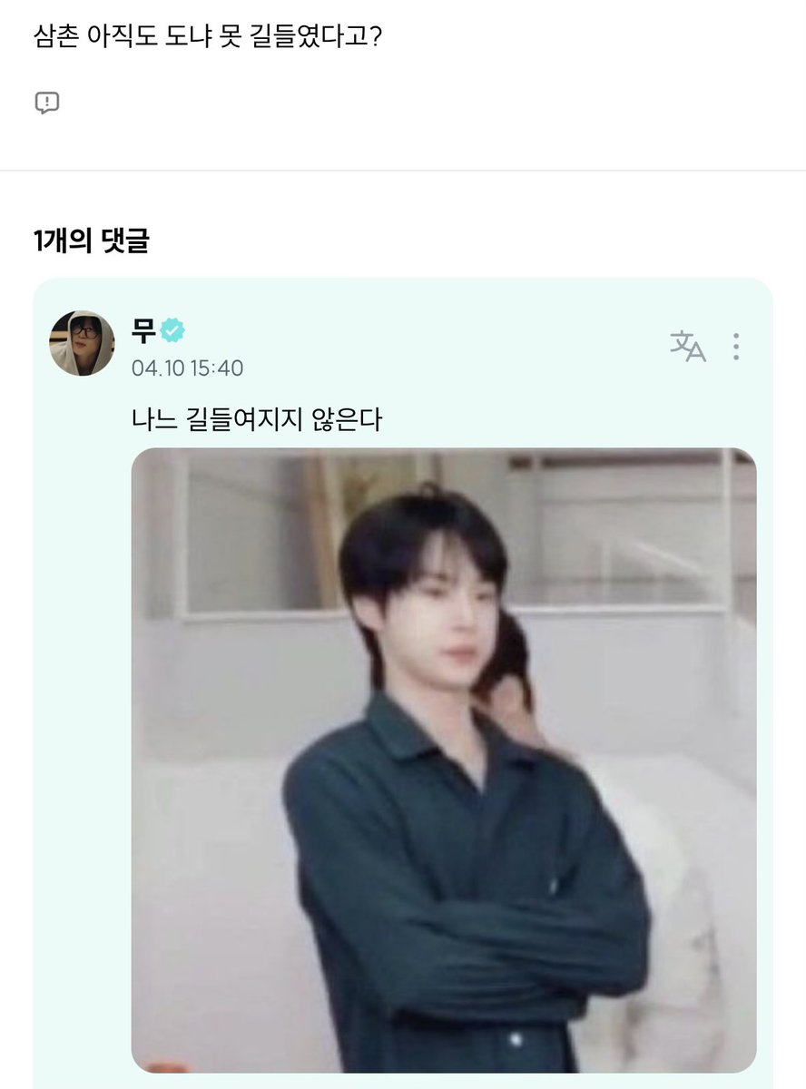 mooisnothing's tweet photo. #야생미 #sacy #서울거주고양이 #180초미남캔따개보유 https://t.co/NJ8XHZ3V55