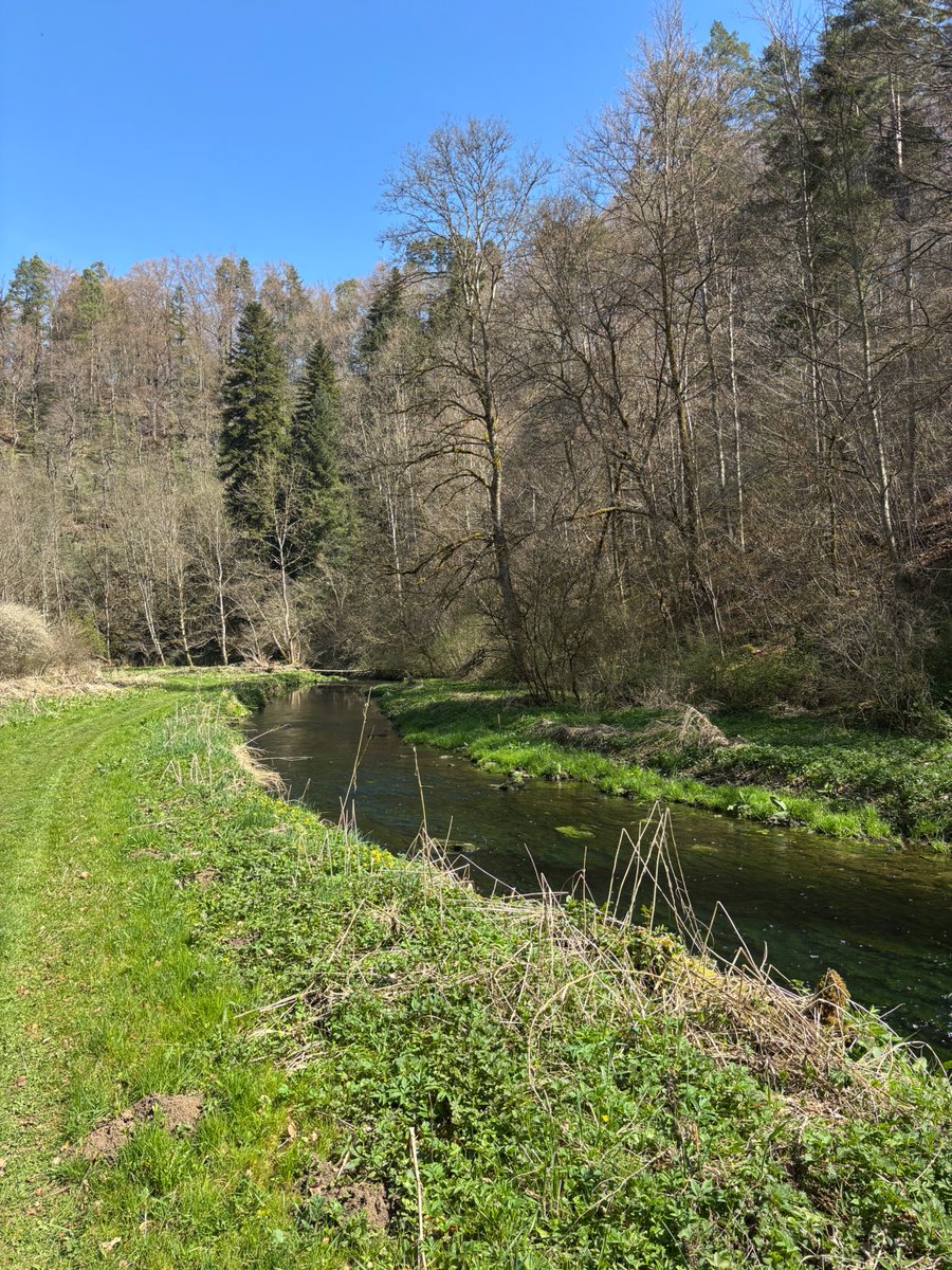 AncestralHealth☀️ tweet media