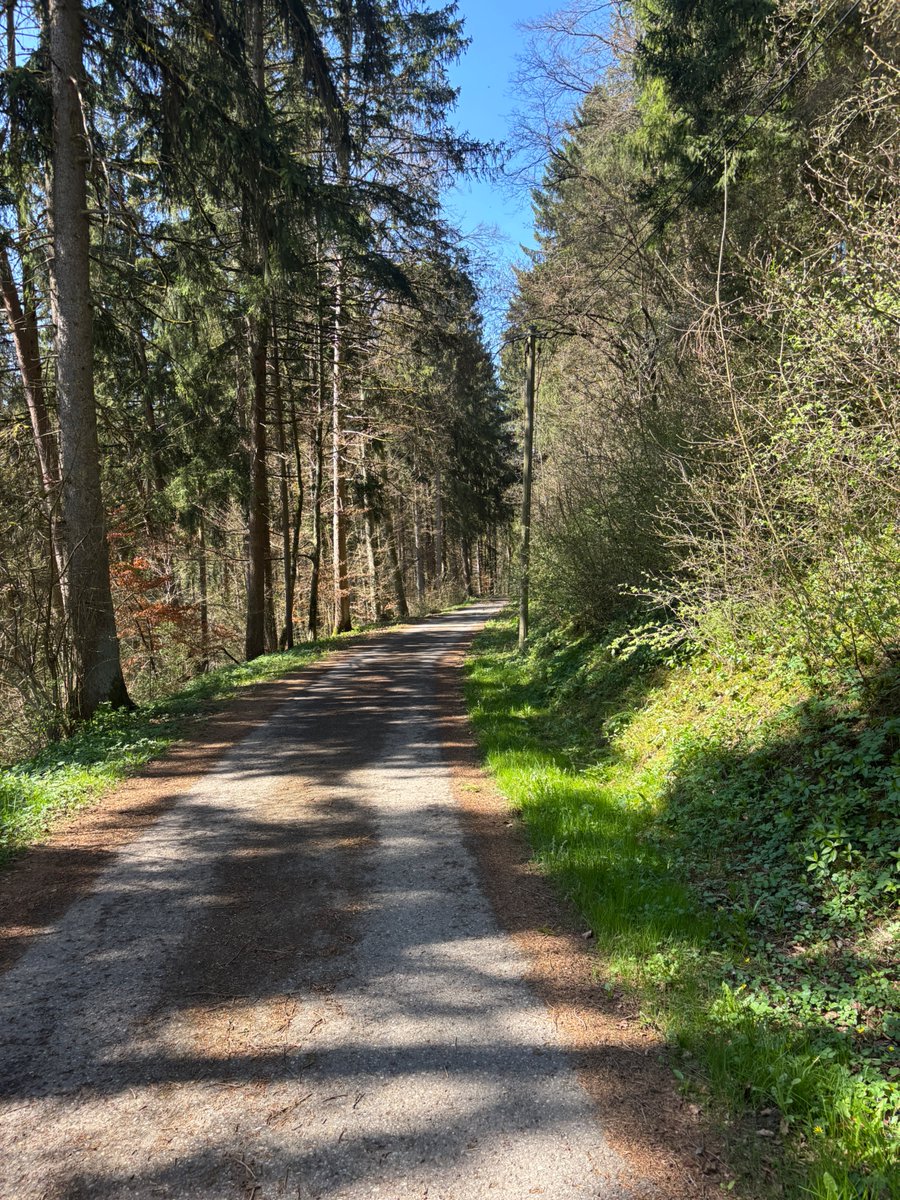 AncestralHealth☀️ tweet media