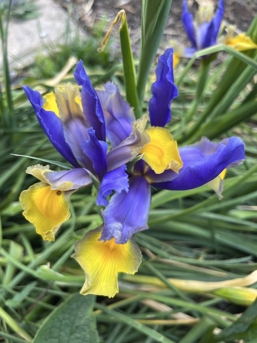 Karen Anstee tweet media