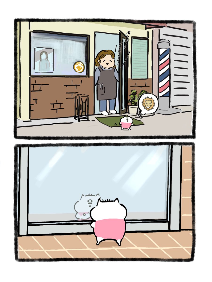 ハム坊 tweet media