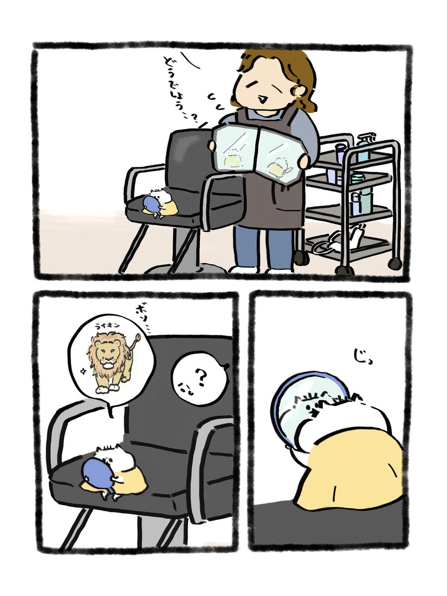 ハム坊 tweet media