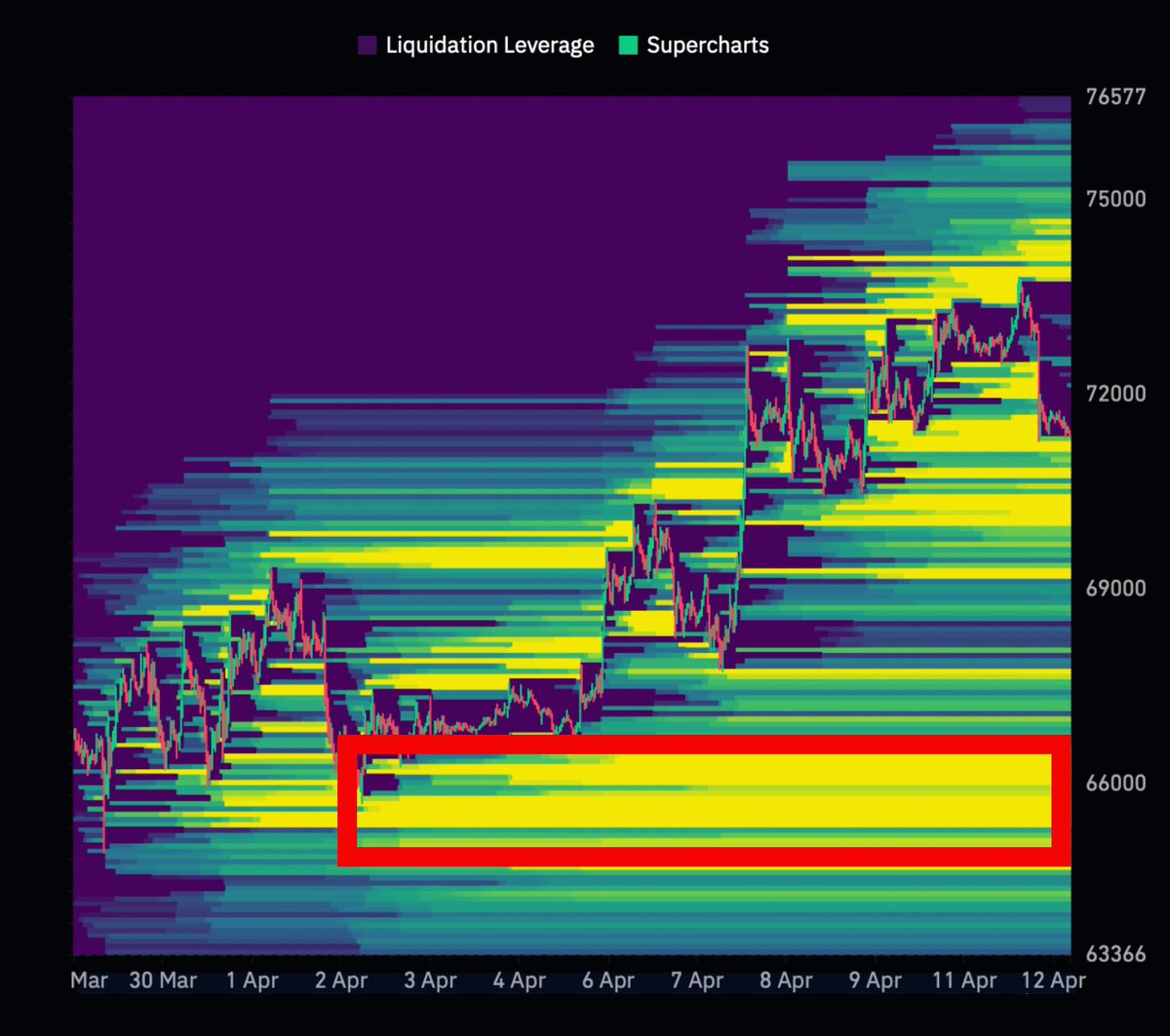 Reflection🪩 tweet media
