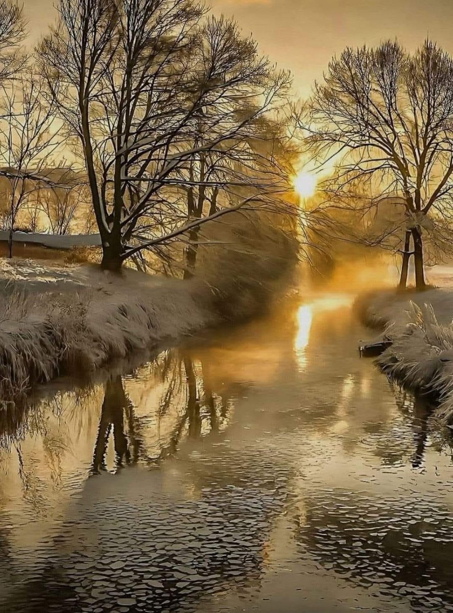 Christian Diamond tweet media