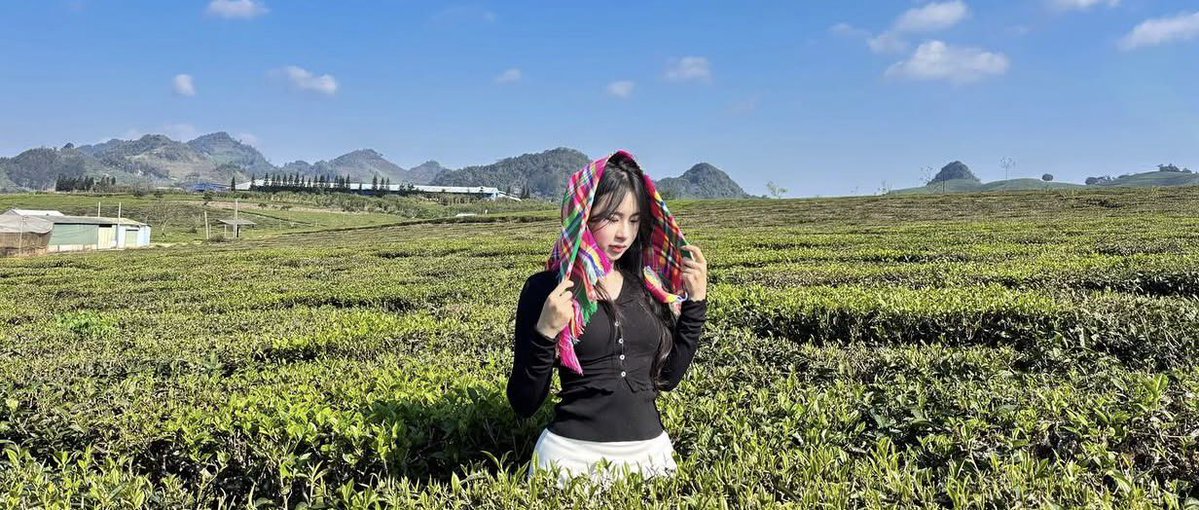 Phương Thảo tweet media