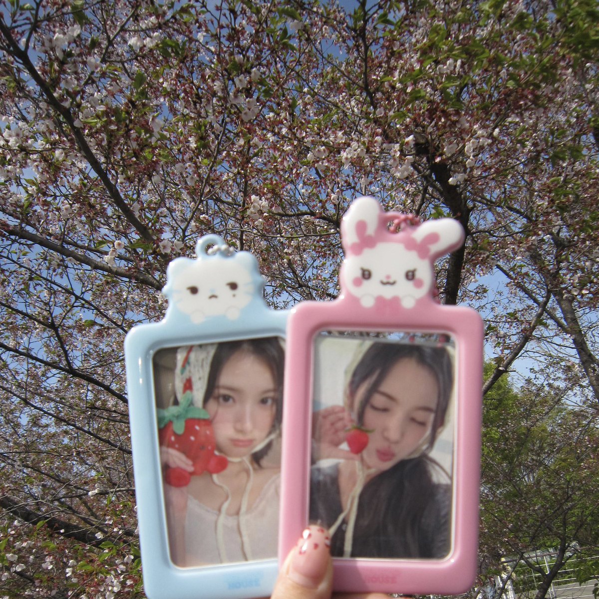 콩 tweet media