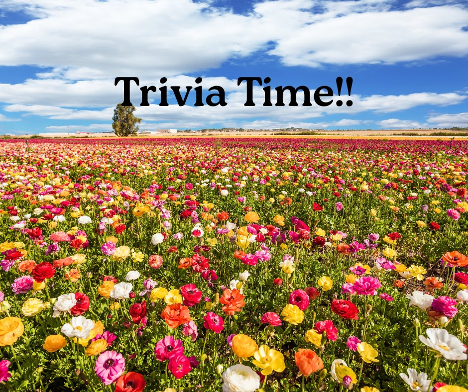 HI4E.Org MarkShuster tweet media