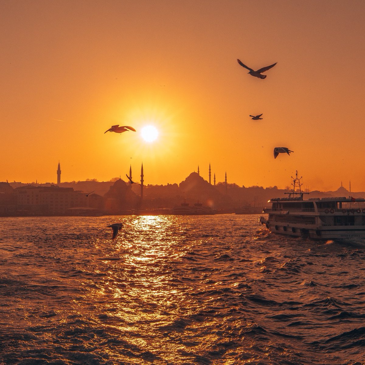 Boşuna Tıklama tweet media