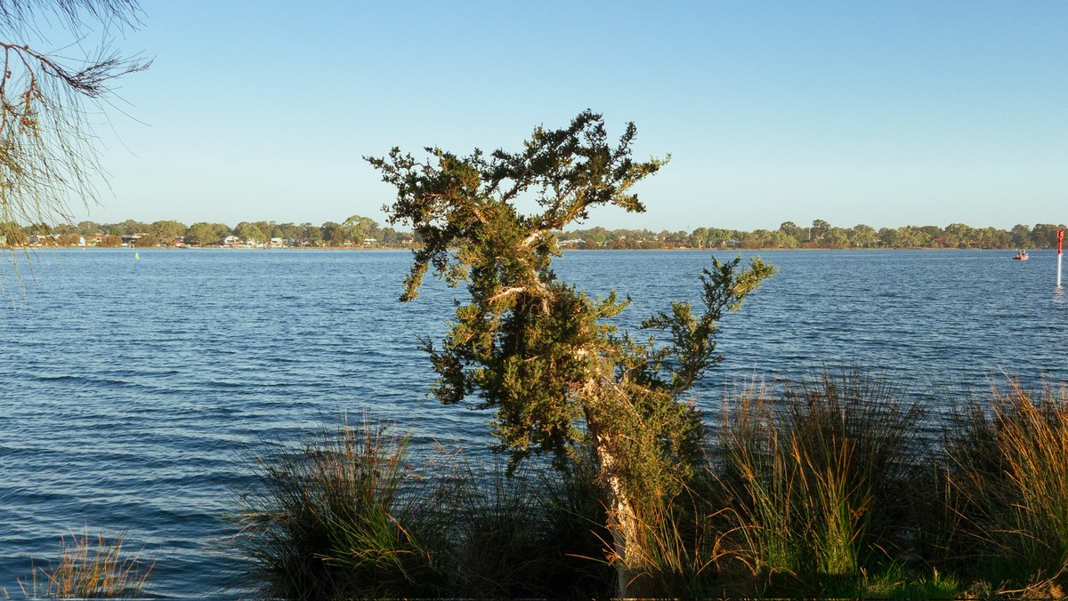 Master Ken☔ tweet media