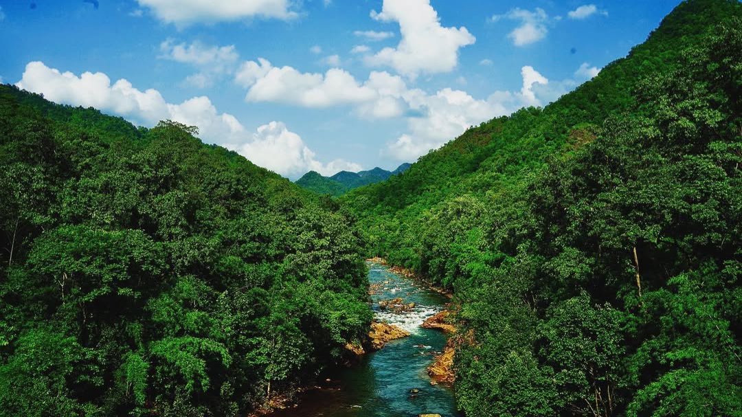 India Aesthetica tweet media