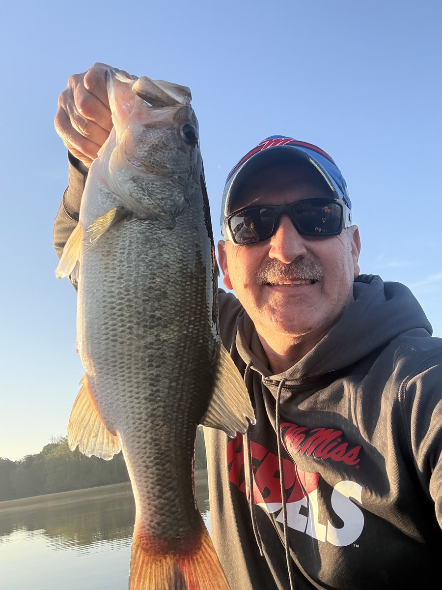 Patrick Payne tweet media