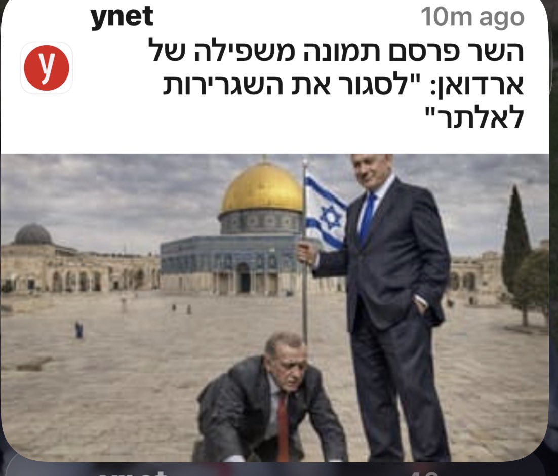 yael shalgi tweet media