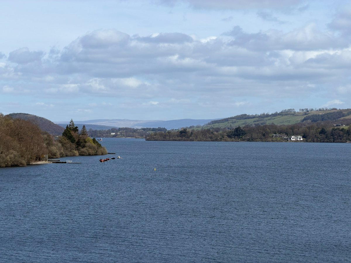 rly cool girl tweet media