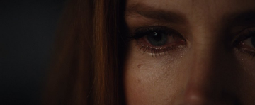 Nocturnal Animals (2016) 

dir. Tom Ford