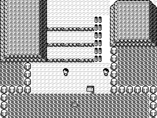 白猫 海【🆂ironeKo🐾ฅ】 tweet media