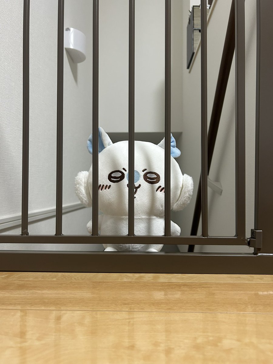 tpd_leo's tweet photo. モモンガ「ここから出せ！」 https://t.co/ywPaDTOY1N